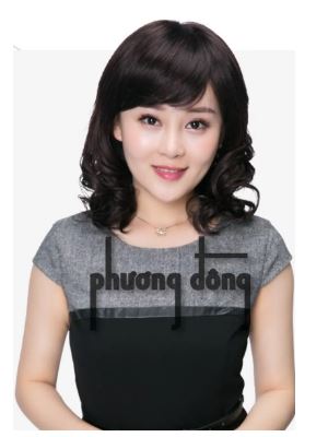 Tóc giả nữ trung niên TN08 - Tóc Giả PD Hair - Công Ty PD Hair Việt Nam